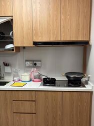 Blk 42A Skyoasis @ Dawson (Queenstown), HDB 3 Rooms #511867991